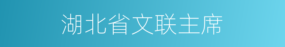 湖北省文联主席的同义词