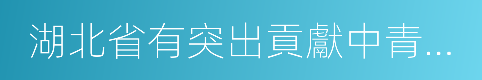 湖北省有突出貢獻中青年專家的同義詞