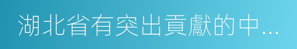 湖北省有突出貢獻的中青年專家的同義詞