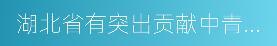 湖北省有突出贡献中青年专家的同义词