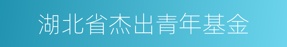 湖北省杰出青年基金的同义词