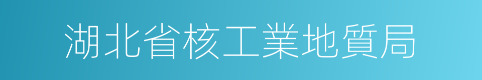 湖北省核工業地質局的同義詞