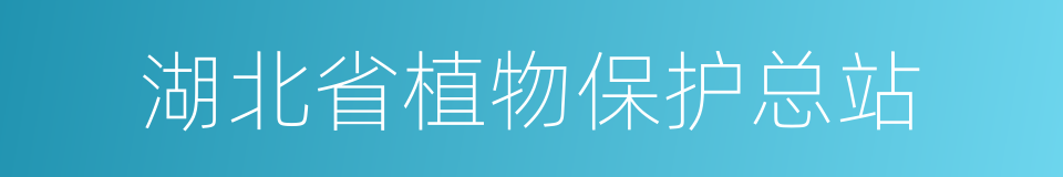 湖北省植物保护总站的同义词