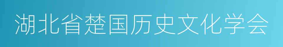 湖北省楚国历史文化学会的同义词