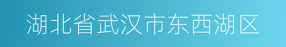 湖北省武汉市东西湖区的同义词