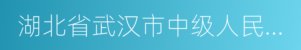 湖北省武汉市中级人民法院的同义词