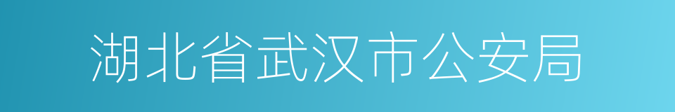 湖北省武汉市公安局的同义词