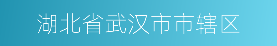 湖北省武汉市市辖区的同义词