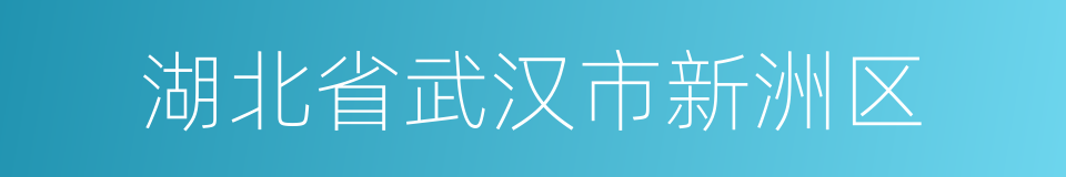 湖北省武汉市新洲区的同义词