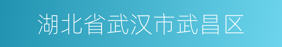 湖北省武汉市武昌区的同义词