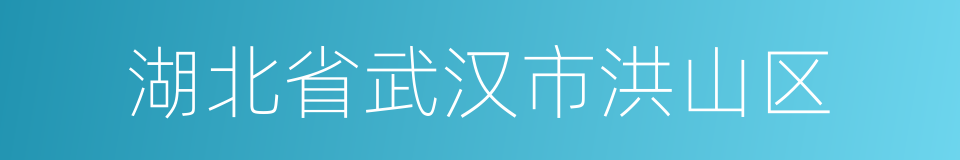 湖北省武汉市洪山区的同义词