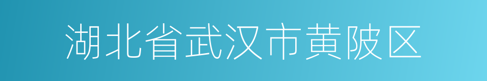 湖北省武汉市黄陂区的同义词