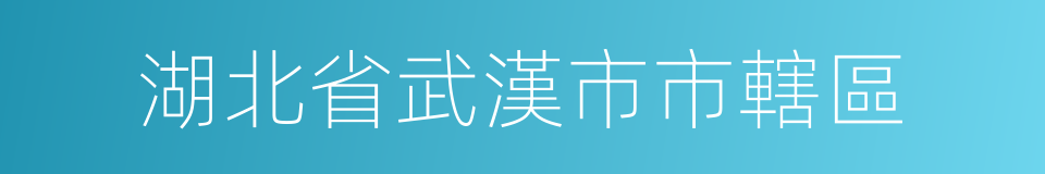 湖北省武漢市市轄區的同義詞