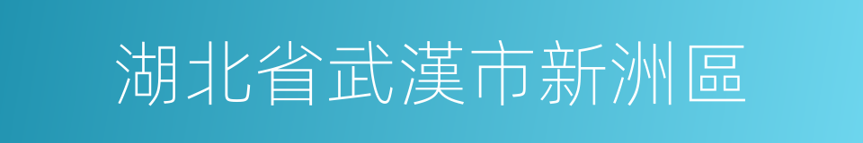 湖北省武漢市新洲區的同義詞