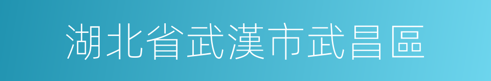 湖北省武漢市武昌區的同義詞