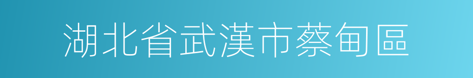 湖北省武漢市蔡甸區的同義詞