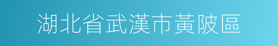 湖北省武漢市黃陂區的同義詞