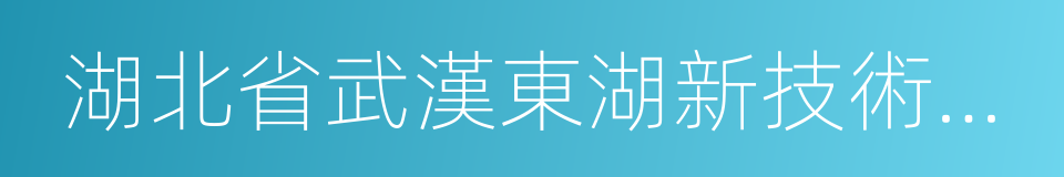 湖北省武漢東湖新技術開發區的同義詞