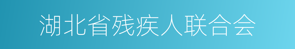 湖北省残疾人联合会的同义词