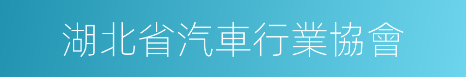 湖北省汽車行業協會的同義詞