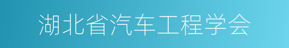 湖北省汽车工程学会的同义词