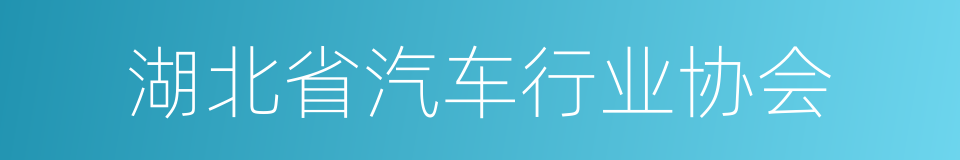 湖北省汽车行业协会的同义词