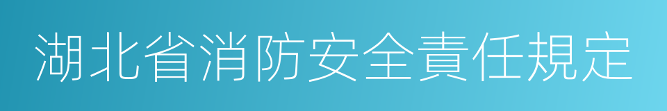 湖北省消防安全責任規定的同義詞