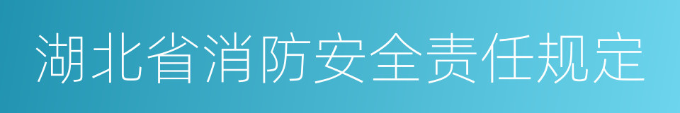 湖北省消防安全责任规定的同义词