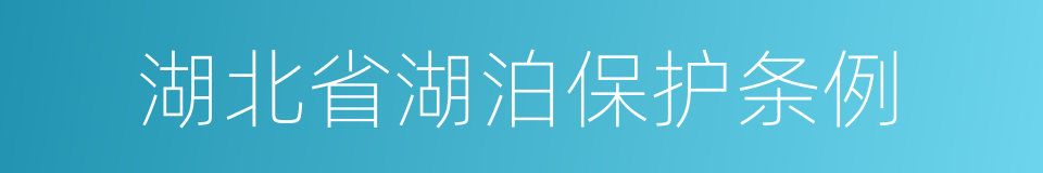 湖北省湖泊保护条例的同义词