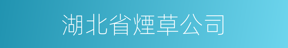 湖北省煙草公司的同義詞