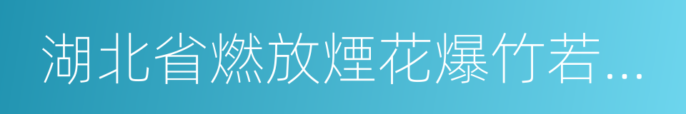 湖北省燃放煙花爆竹若幹規定的同義詞