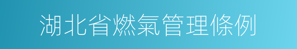 湖北省燃氣管理條例的同義詞