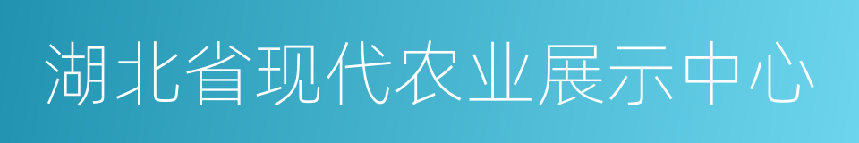 湖北省现代农业展示中心的同义词