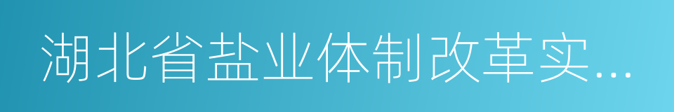 湖北省盐业体制改革实施方案的同义词