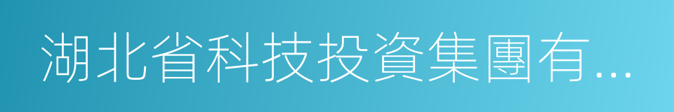 湖北省科技投資集團有限公司的同義詞