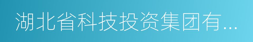 湖北省科技投资集团有限公司的同义词