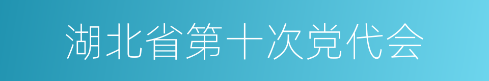 湖北省第十次党代会的同义词