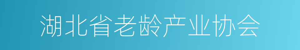 湖北省老龄产业协会的同义词