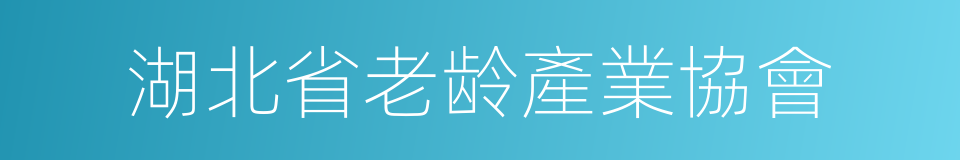 湖北省老龄產業協會的同義詞