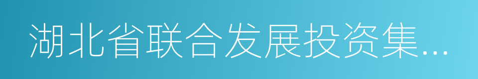 湖北省联合发展投资集团有限公司的同义词