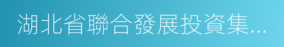 湖北省聯合發展投資集團有限公司的同義詞