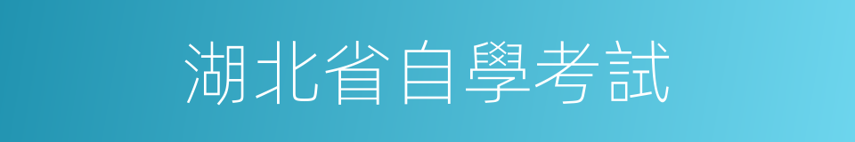 湖北省自學考試的同義詞