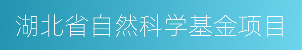 湖北省自然科学基金项目的同义词