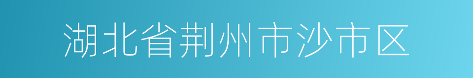 湖北省荆州市沙市区的同义词