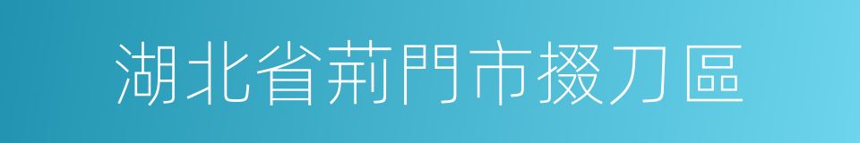 湖北省荊門市掇刀區的同義詞