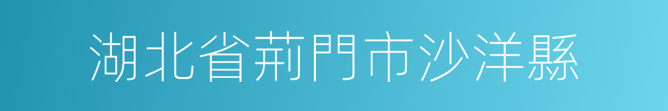 湖北省荊門市沙洋縣的同義詞