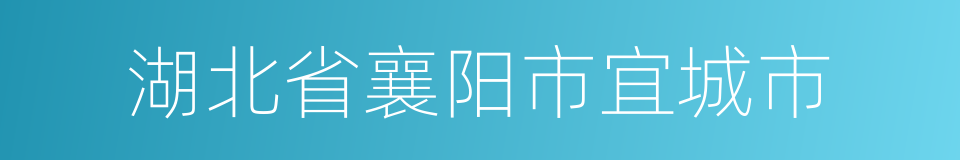 湖北省襄阳市宜城市的同义词