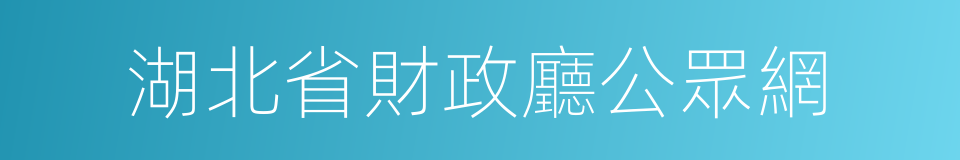 湖北省財政廳公眾網的同義詞