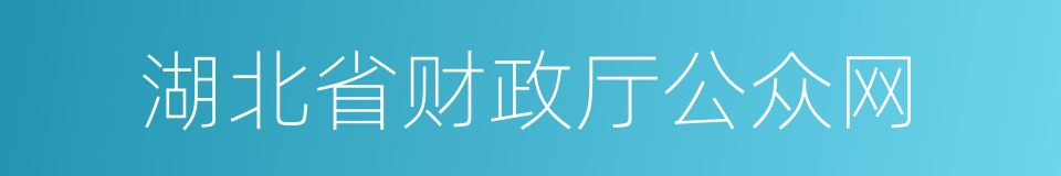 湖北省财政厅公众网的同义词