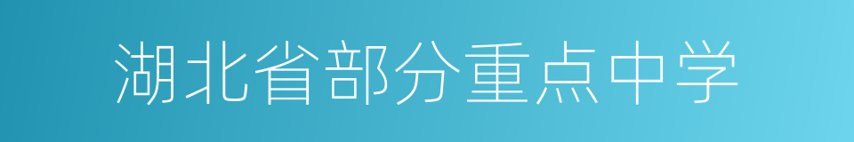 湖北省部分重点中学的同义词